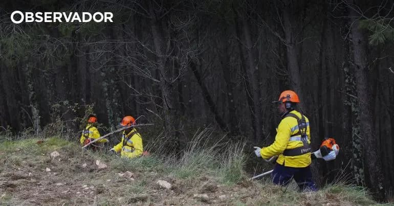 Lei Política Criminal 2026-2028 entra em vigor 1º set