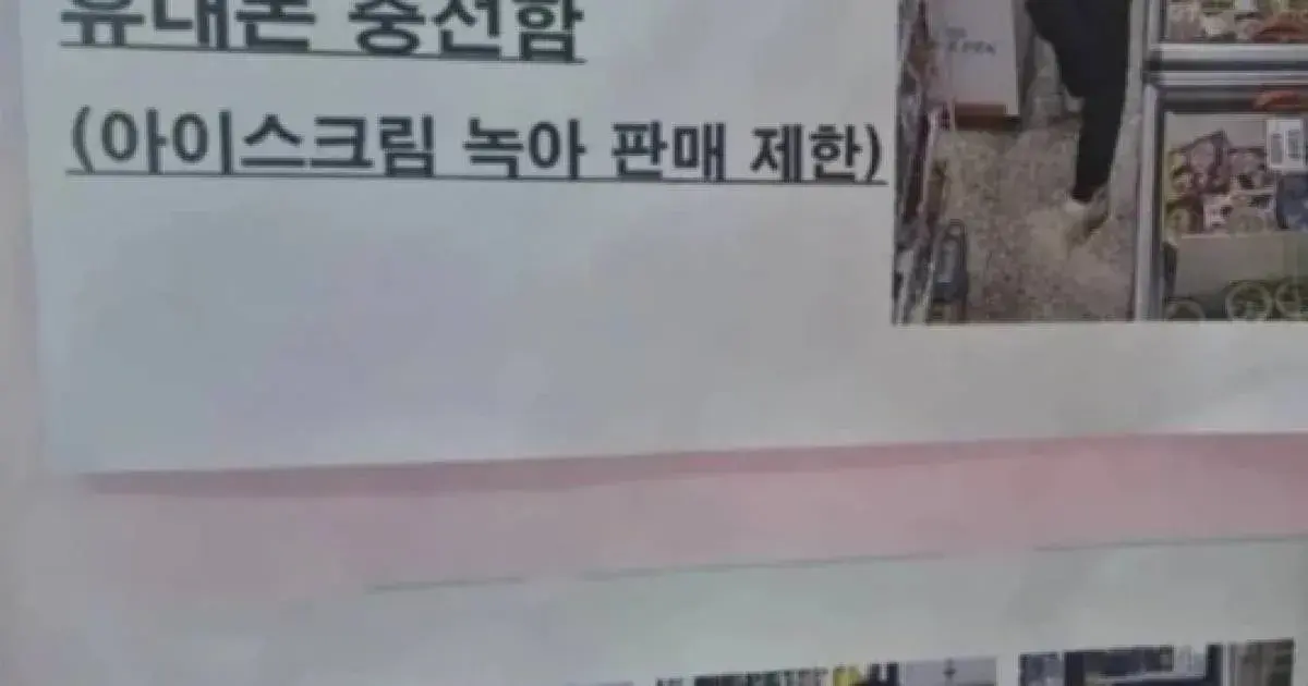 Coreia do Sul: mulher desliga freezer e sorvetes derretem