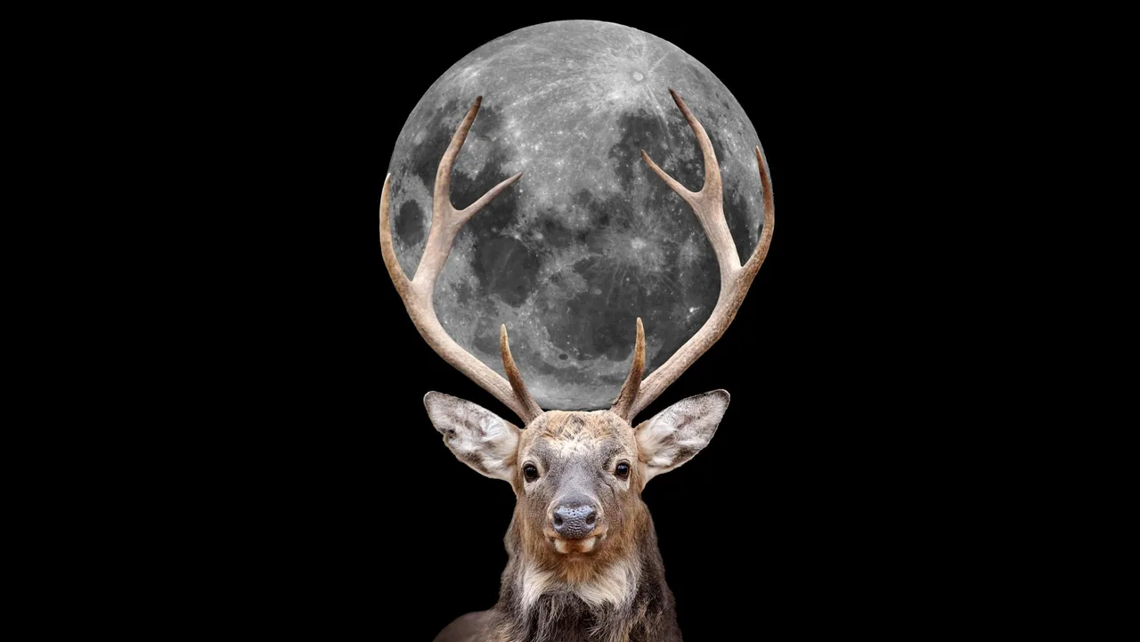 Lua dos Cervos: como observar a lua cheia de julho no Brasil